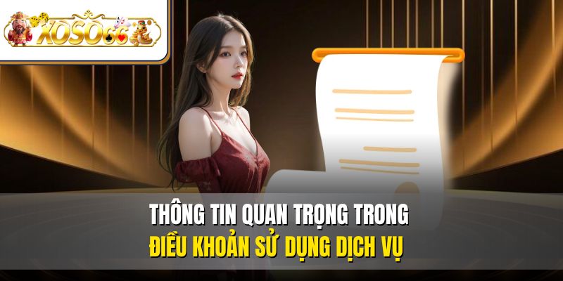 Thông tin quan trọng trong điều khoản sử dụng dịch vụ